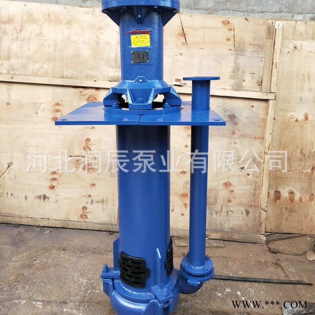 厂家提供液下渣浆泵65QV-SP 细沙回收液下渣浆泵 液下渣浆离心泵 质量保证图1