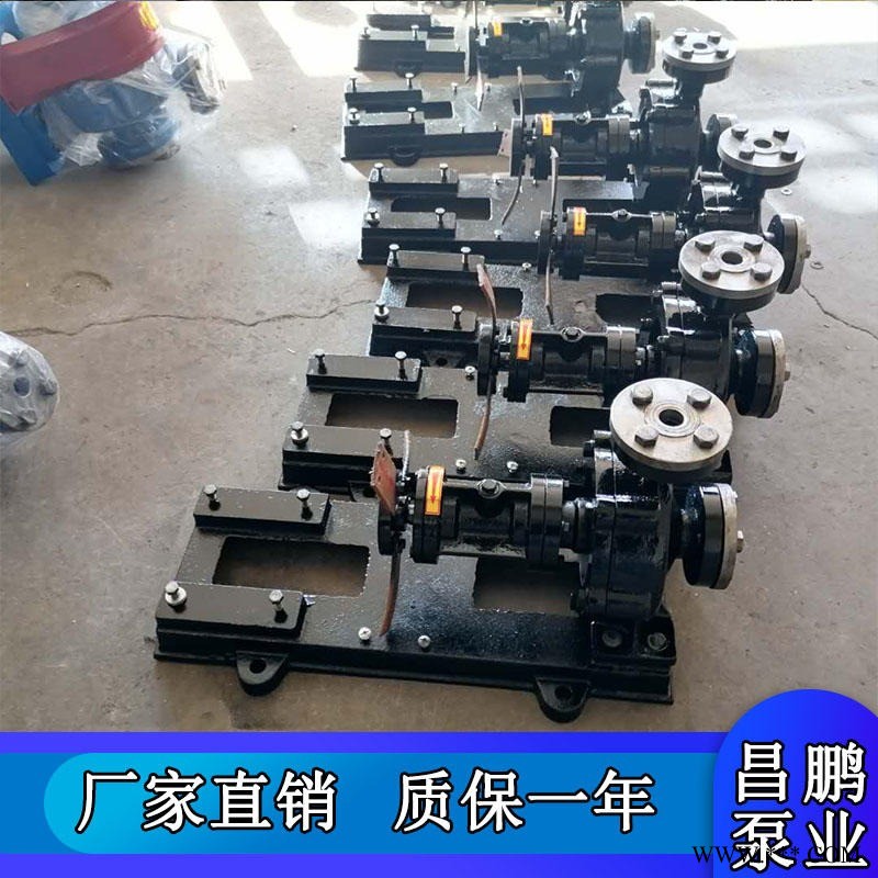 高温导热油泵RY20-20-125微型循环热油泵 单级离心泵图1