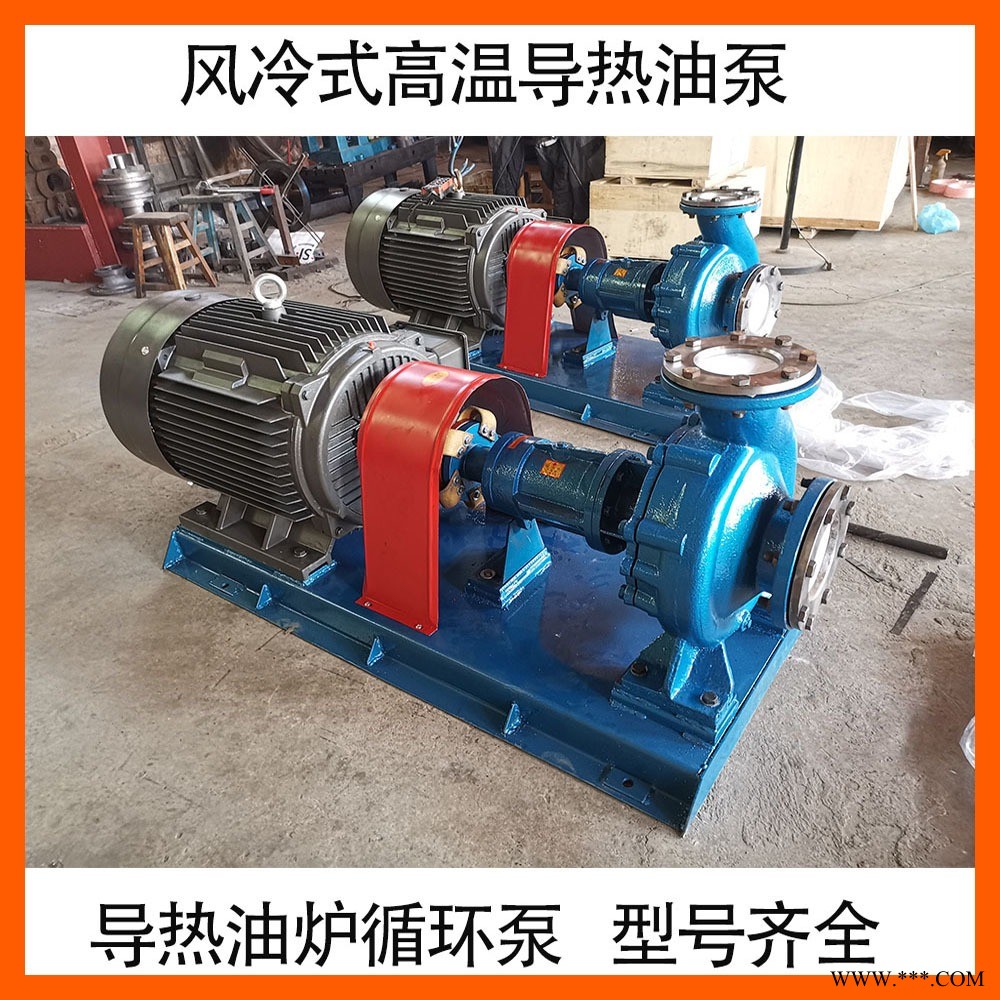 供应 RY型导热油泵 风冷式离心泵 RY高温热油泵 锅炉循环油泵图1