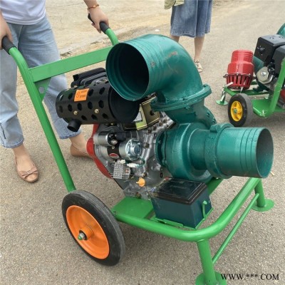 防洪排水灌溉抽水泵 手推汽油6寸离心泵  防汛抢险排水机