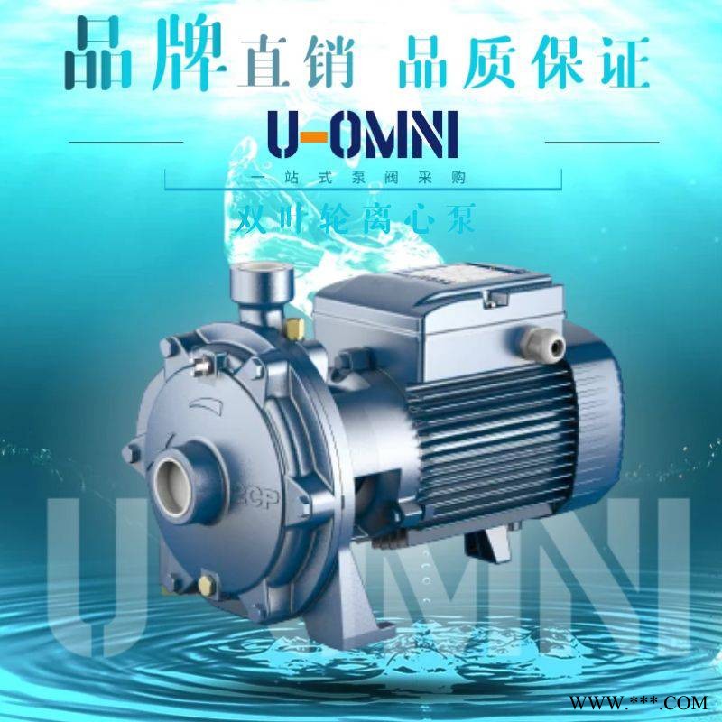 进口双叶轮离心泵-进口离心泵-美国欧姆尼U-OMNI图1