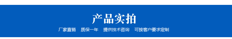 环氧树脂专用泵 密封泵 NYP10高粘度管道泵 40mm口径不锈钢转子泵示例图4
