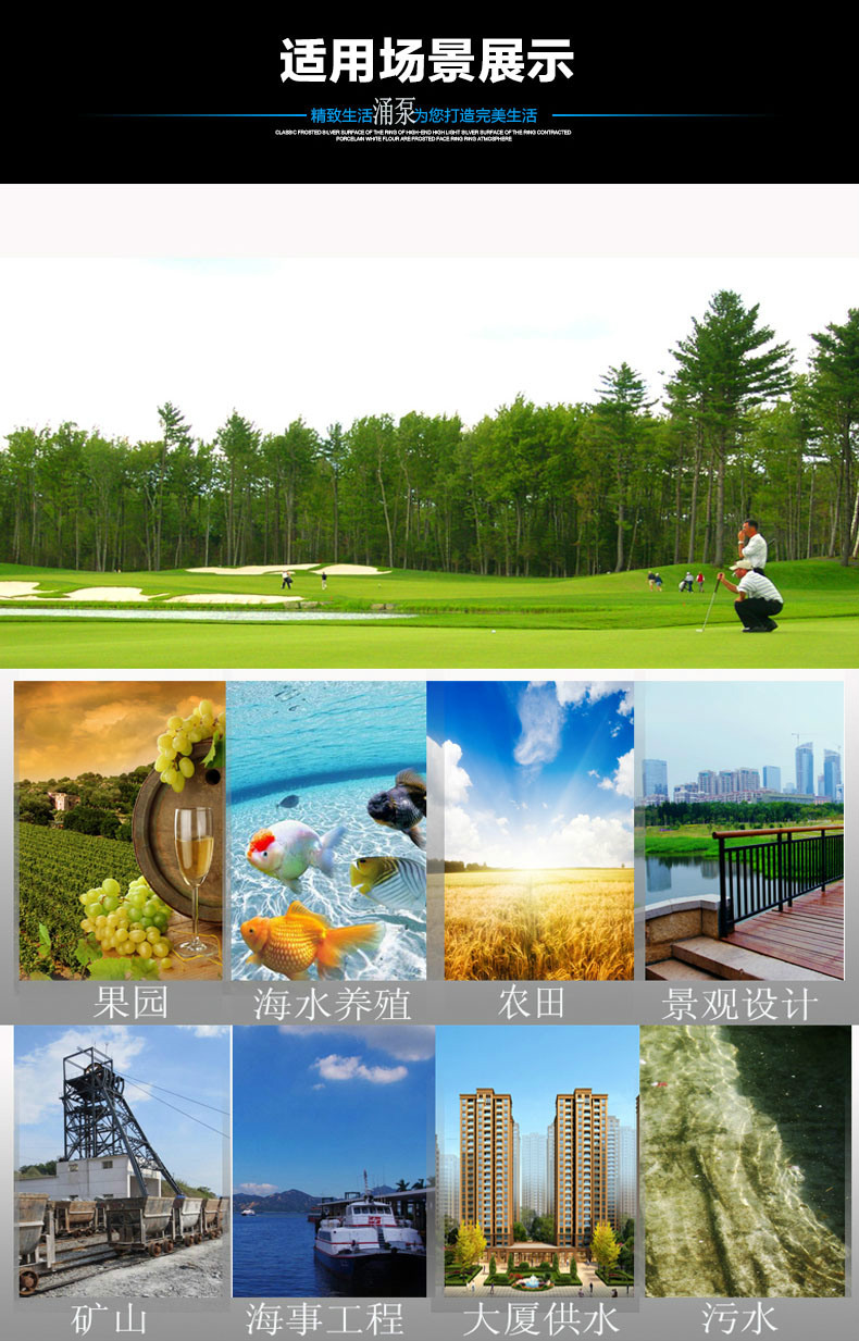 井用SP系列全不锈钢水泵 高扬程 离心泵清水泵潜水泵SP-0807示例图4
