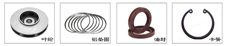 厂家批发 高温齿轮泵ry65-40-200可耐450℃卧式导热油泵 高温油泵示例图5