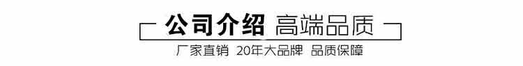 厂家批发 高温齿轮泵ry65-40-200可耐450℃卧式导热油泵 高温油泵示例图13