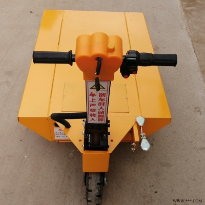 平板电动拉专车 支持定做 电动拉货小推车 电动手推车