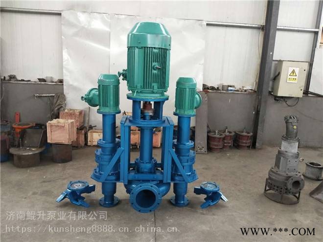 耐磨抽煤泥设备搅拌式液下煤渣泵可配防爆电机型立式煤泥泵