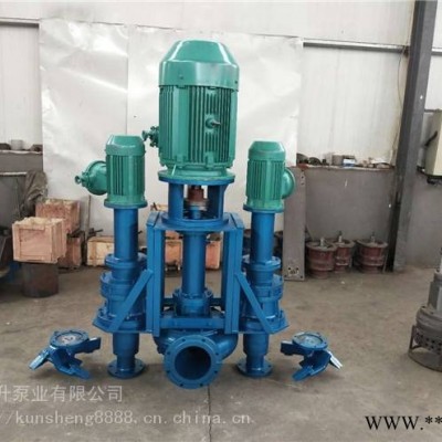 耐磨抽煤泥设备搅拌式液下煤渣泵可配防爆电机型立式煤泥泵