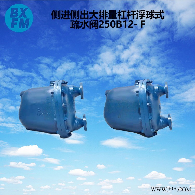 侧进侧出大排量杠杆浮球式蒸汽疏水阀250B12-F 国家标准 博希供应图1