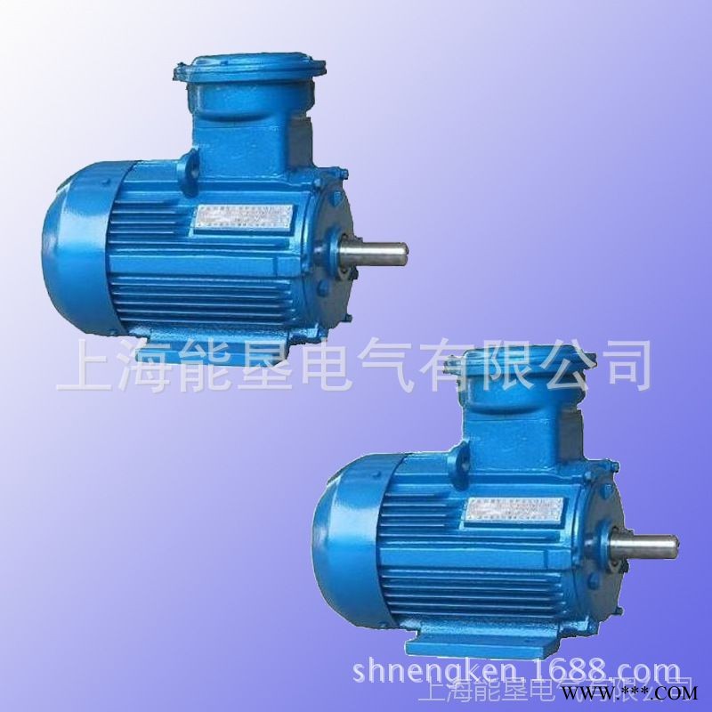 提供YB2-200L2-2 37KW隔爆型三相异步电动机 上海能垦防爆电机图1