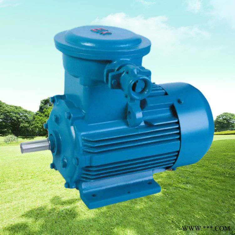 YB2电动机YB3防爆电机YBX3-280M-2-90KW 立卧式三相隔爆电机马达图1
