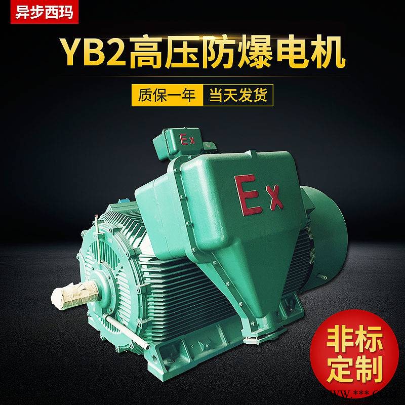 西玛牌YBX3-355L4-6-315KW-380V/66V低压隔爆型三相异步防爆电机图1