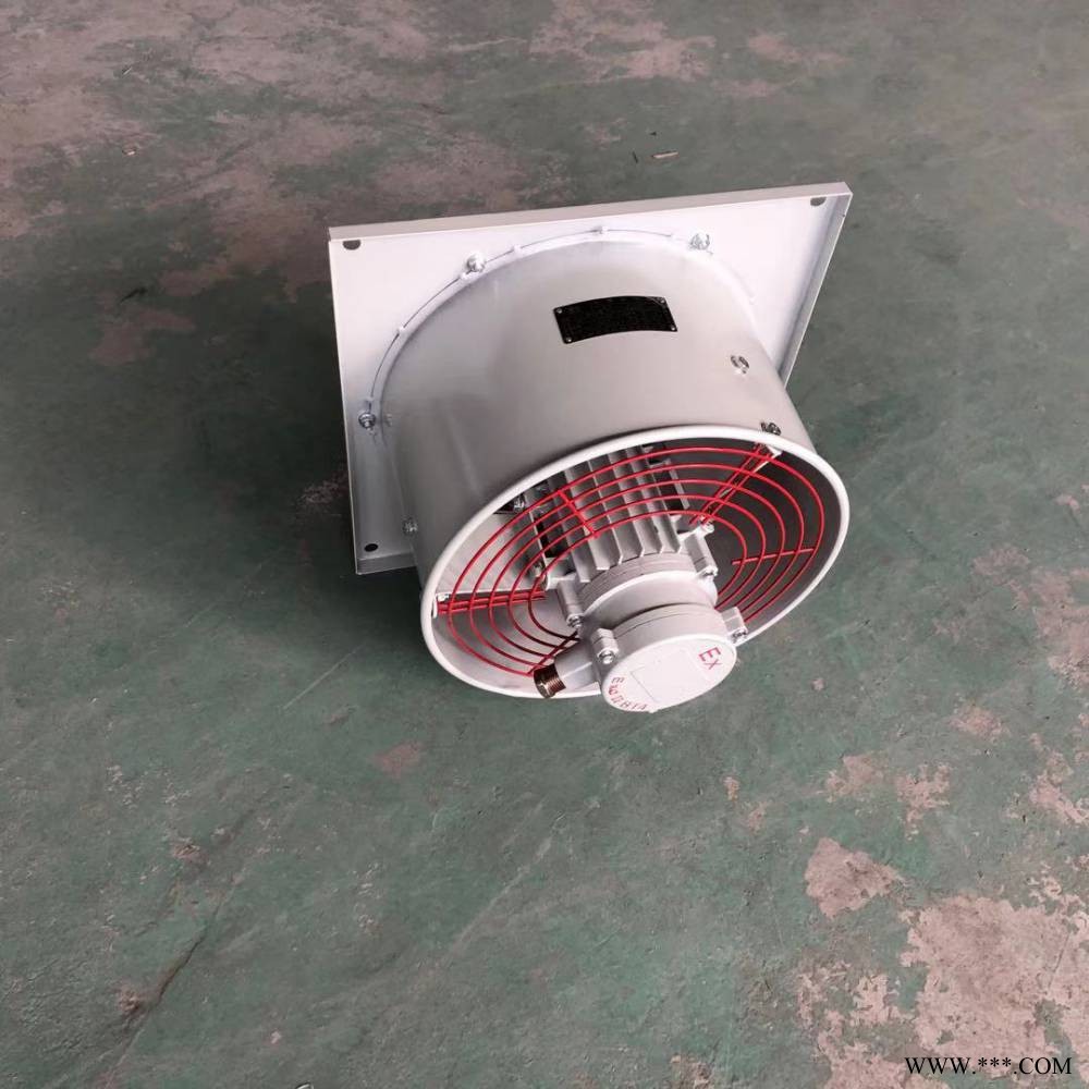 BFAG-500/380V 圆筒防爆电机 配防护网