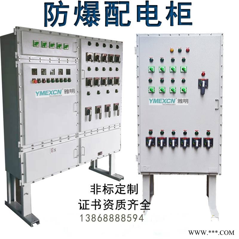 订制钢板/不锈钢防爆控制箱 防爆电机阀门变频器控制柜IP65