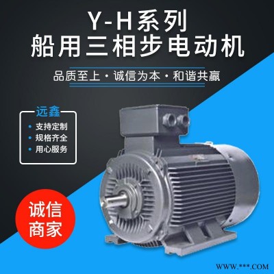 YH船用三相电机 ABB船用电机 ABB船用防爆电机