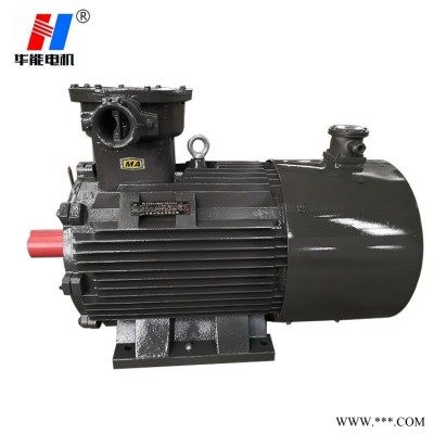 电动机厂家YBVP三相异步电机YBVP-200L四极变频防爆电机马达30KW