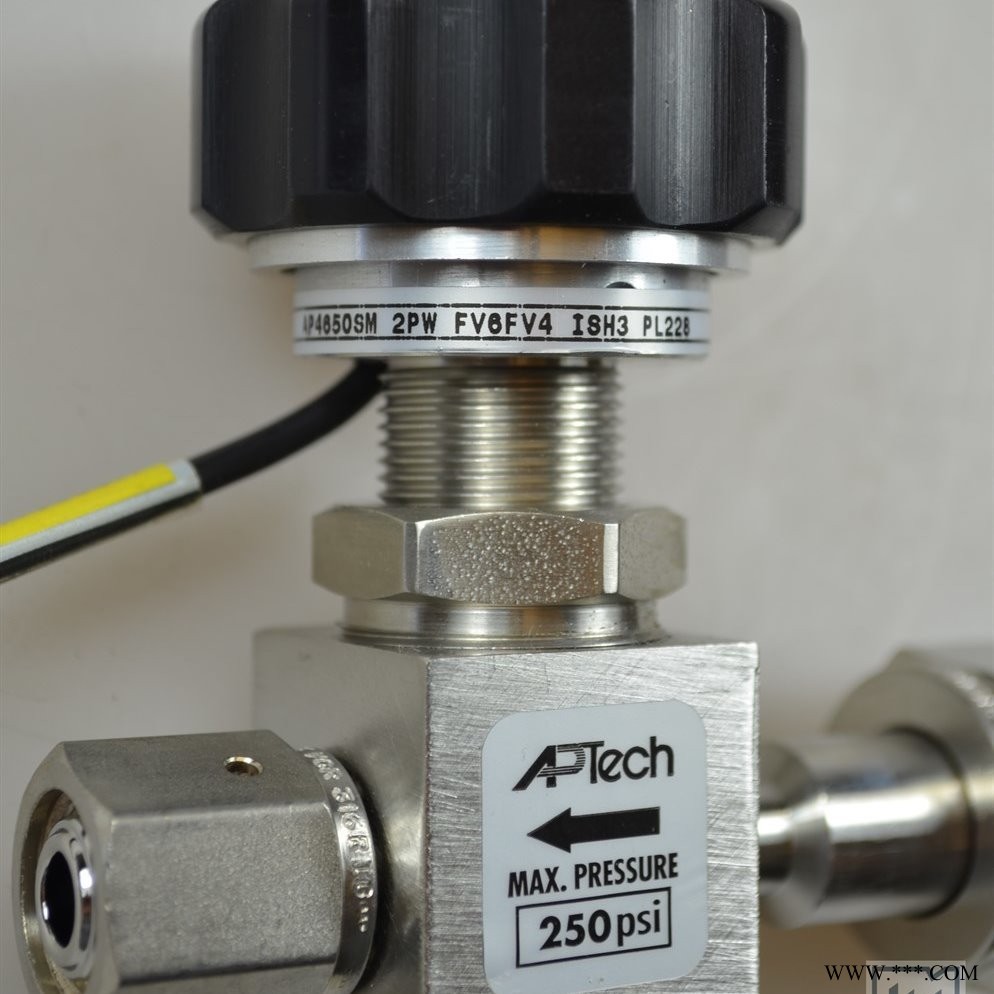 高纯手动隔膜阀 双极调压阀 晶片厂用手动隔膜阀  APTech AP1510SH图1