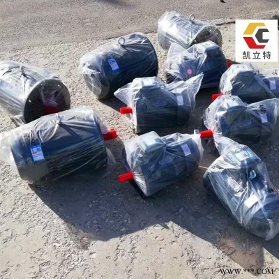 电磁失电制动电机 YEJ250M-4-55KW 电磁制动异步电机 衡水生产厂家 凯立特