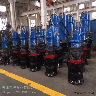 天津潜水泵 大口径潜水轴流泵 轴流潜水泵 便携式潜水泵