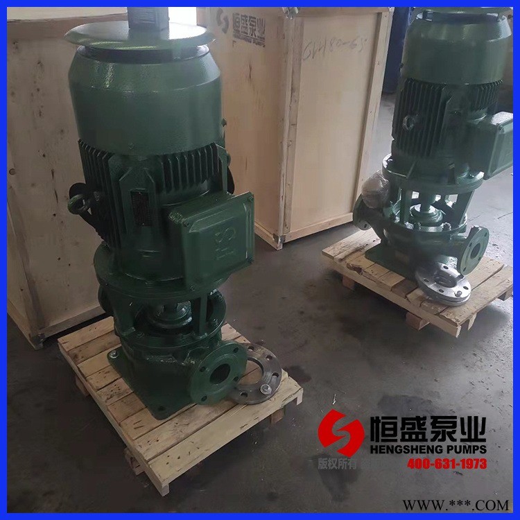消防泵,压载泵,舱底泵, 船用立式离心泵 带仪表  CLH80-65-9恒盛泵业-离心泵制造厂家