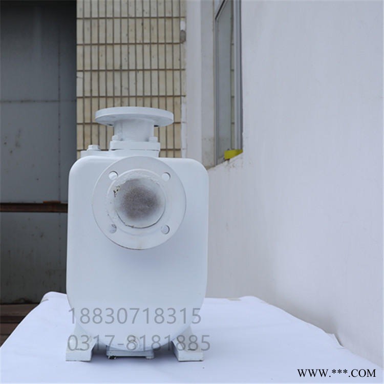 自吸泵 帕姆泵 100CYZ-75 离心泵图1