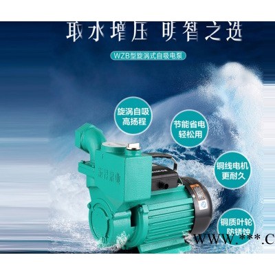 新标水泵专业的管道泵提供商 好的管道泵厂家