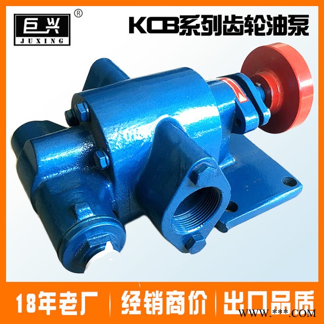 批发 微型齿轮油泵泵头 kcb2m3/h小流量管道泵输油泵 齿轮泵泵头图1