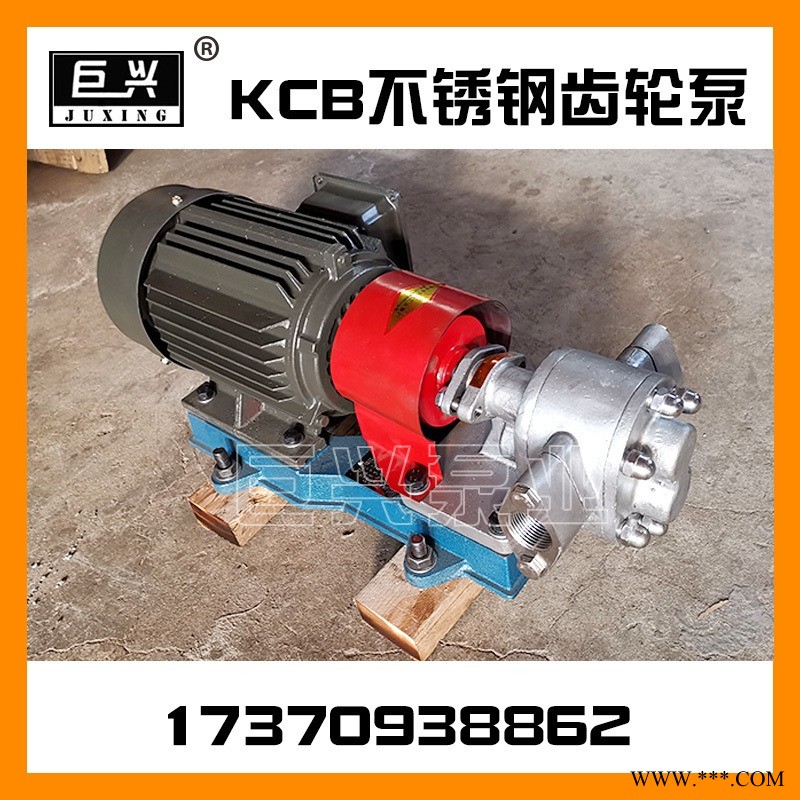 供应 不锈钢齿轮泵 KCB管道泵 电动抽油泵 小型化工泵图1