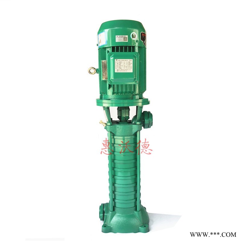 铸铁泵 VMP80-12惠沃德15KW立式管道泵图1