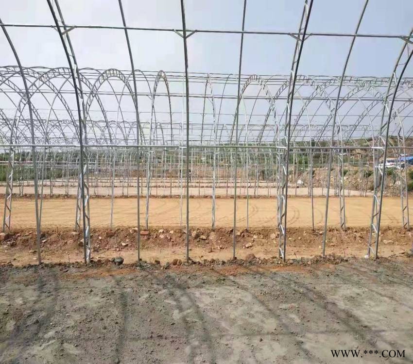 广西双膜大棚骨架大棚骨架弯管机花卉温室大棚