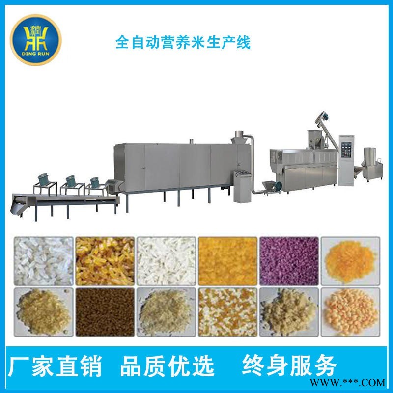 速食放米饭挤压机 济南鼎润机械 人造大米膨化机械