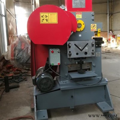 任兴直销RX-QA32-8B冲剪机 金属冲剪机,小型钢型材冲剪机,多功能切断冲孔机,可定制各种型号冲剪机