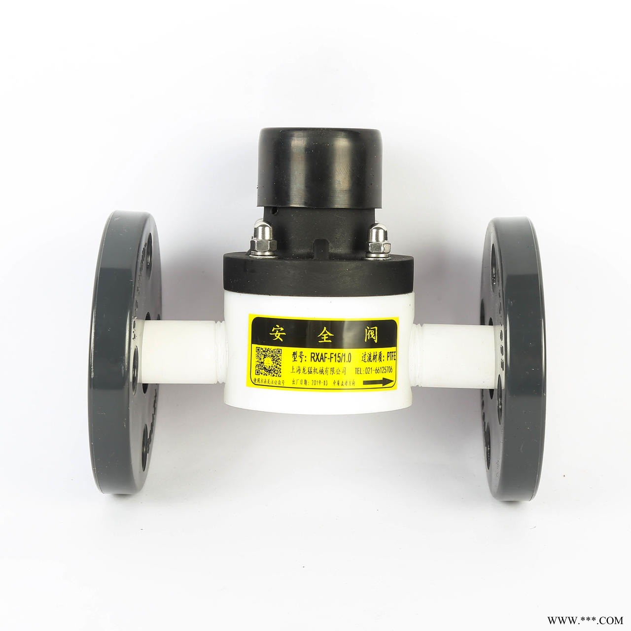 龙猛PTFE安全阀厂家直销  RXAF-F25/1.0  内螺纹PTFE安全阀图1