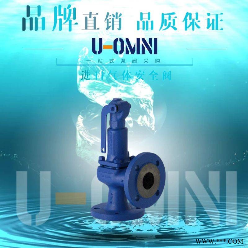 进口气体安全阀-进口安全阀-美国欧姆尼U-OMNI图1