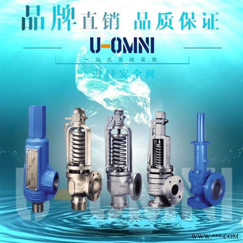进口安全阀-进口安全阀-美国欧姆尼U-OMNI图1