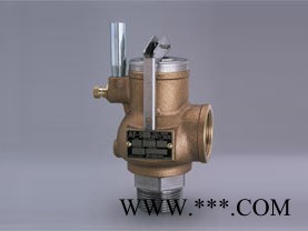 受欢迎的安全阀推荐-茶山安全阀厂家图1