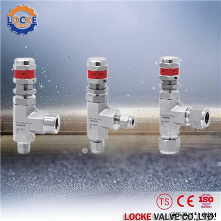 进口加气站安全阀|德国洛克品牌Locke图1