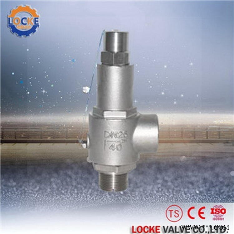 进口低温液氮安全阀|德国洛克品牌Locke图1