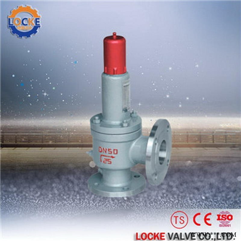 进口煤气安全阀|德国LOCKE洛克品牌图1