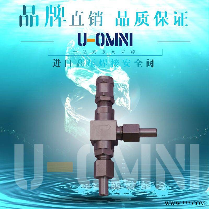 进口高压焊接安全阀-进口小型阀门-美国品牌欧姆尼U-OMNI图1