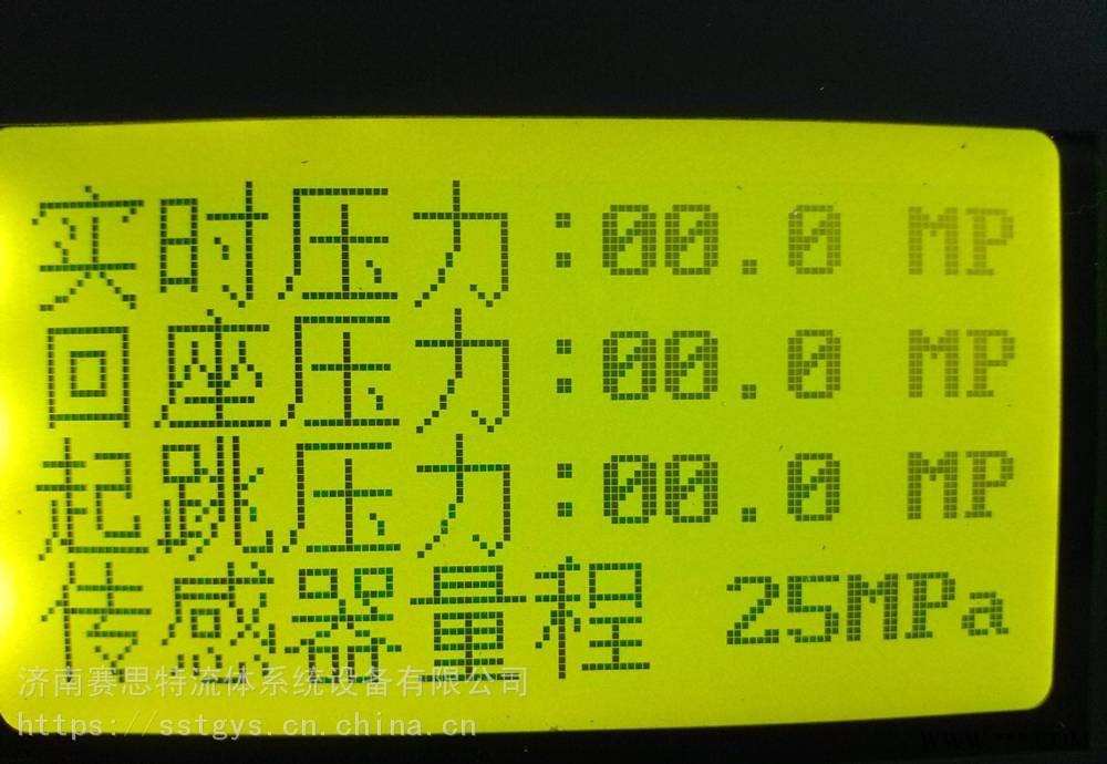 大通径电脑控制安全阀校验台定做参数可选图1