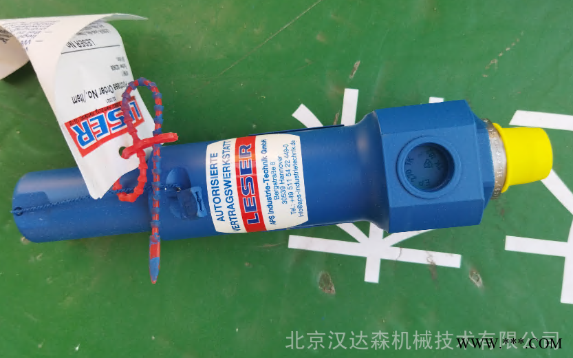 德国LESER先导式安全阀H03图1