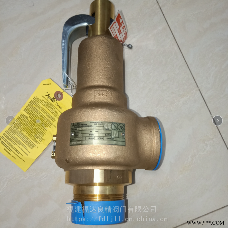 APOLLO阿波罗安全阀19EHHK51CETAIR DN50图1