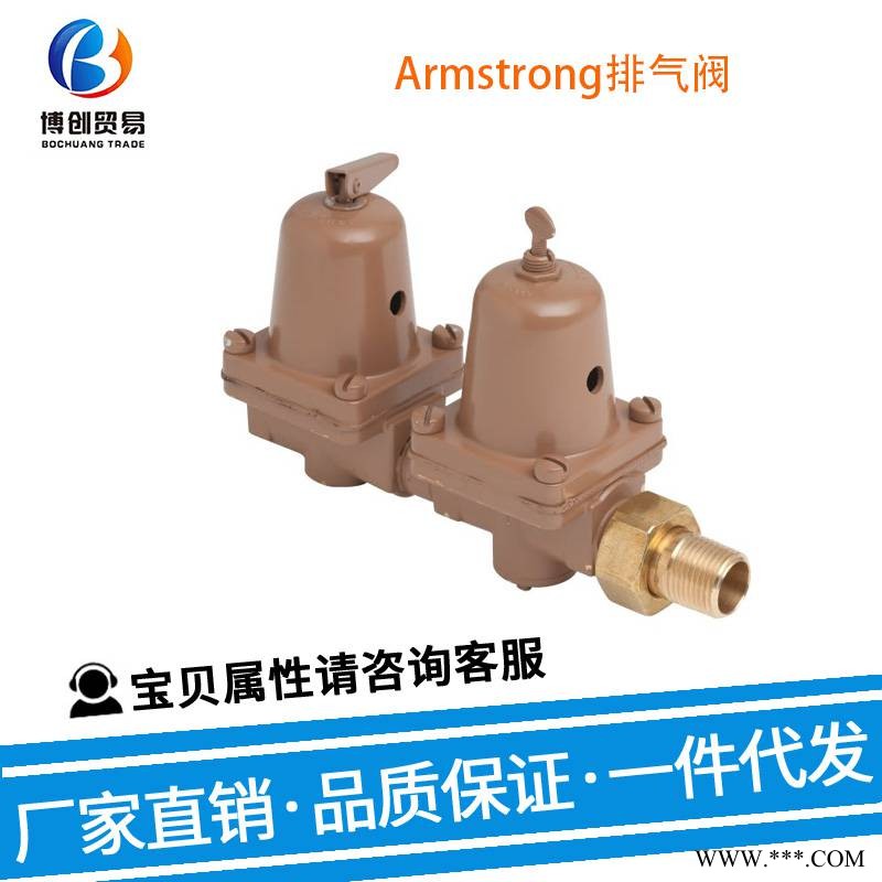 美国 Armstrong 排气阀 C5534 用于安全阀