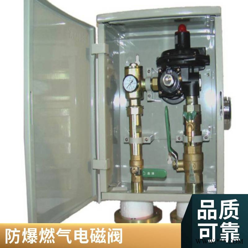 家用天燃气安全自闭阀管道灶前安全阀防漏气保护开关自动切断阀