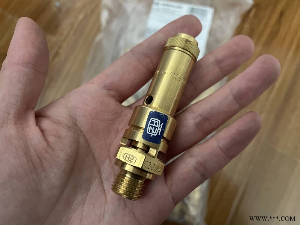 安全阀 riegler 226.01-4.5大量现货 气动元件产品图1