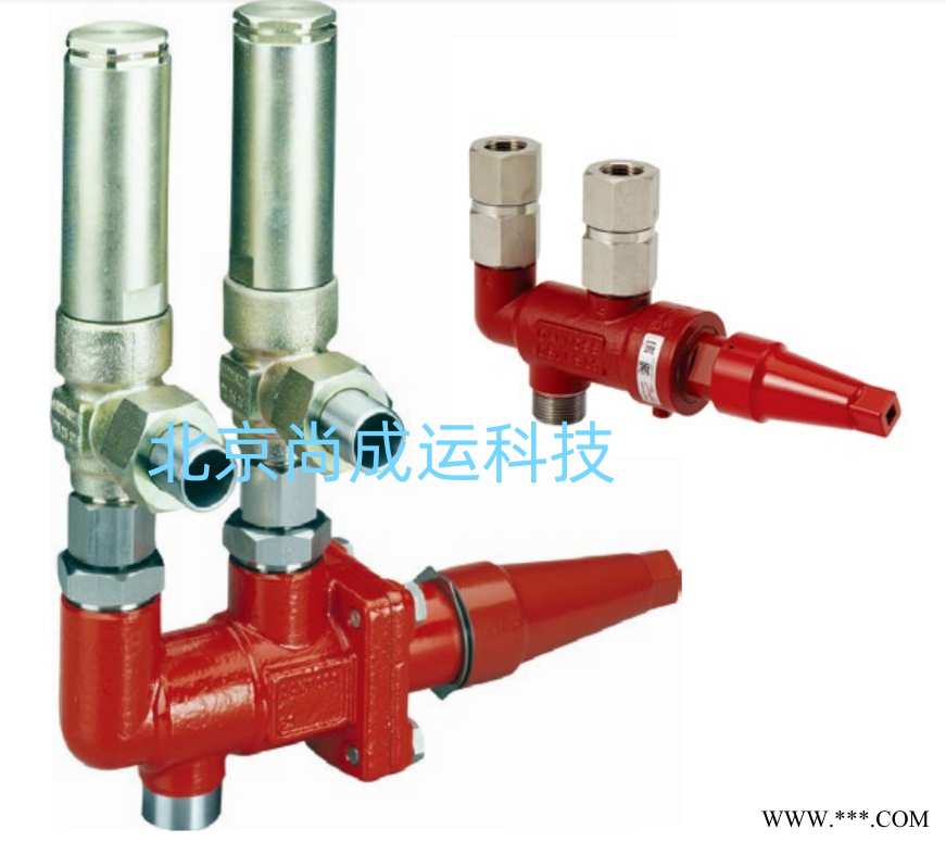 供应丹佛斯氨用双座安全阀DSV1 148F3005 DSV2 148F3008图1