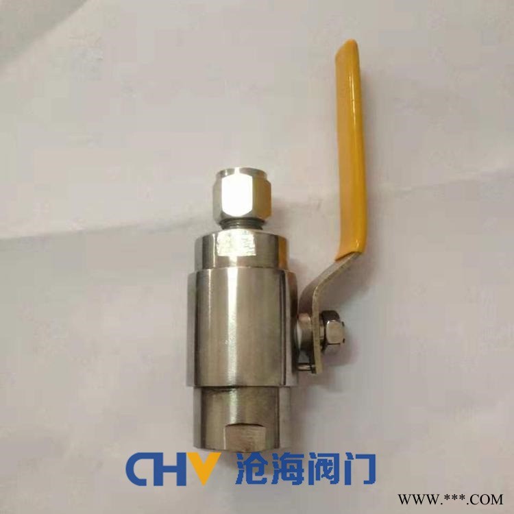 CHVJ沧海QG.QY1-16P不锈钢气源球阀图1