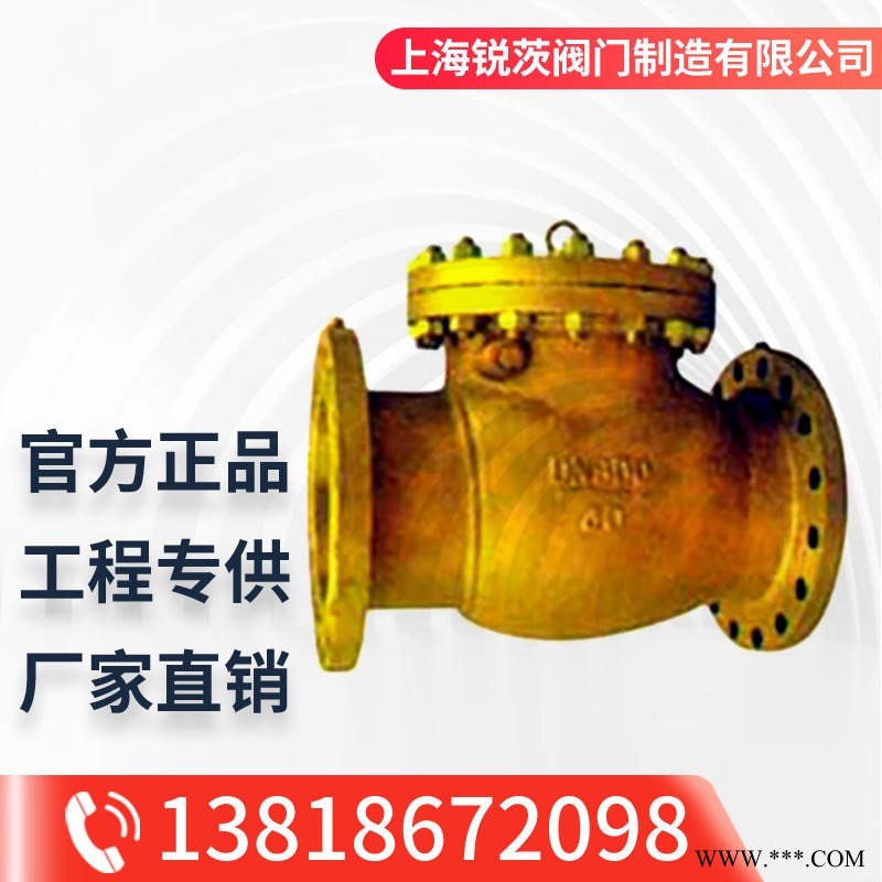 Hy44F(W)旋启式铜氧气专用止回阀 旋启式止回阀DN10-DN2000（mm）二通式 NRVG静音式止回阀图1