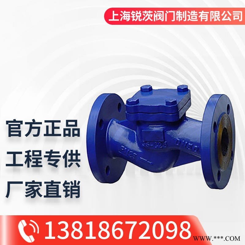 H41H-25C 铸钢德标止回阀 德标升降式止回阀 波纹管铸钢耐高温蒸汽导热油止回阀图1